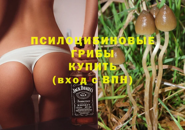 кокс Богородск