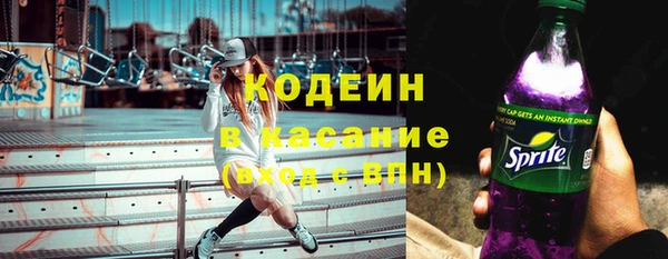 apvp Бородино