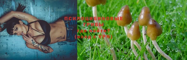 альфа пвп Богородицк