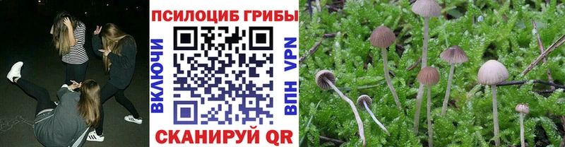 Псилоцибиновые грибы прущие грибы  hydra tor  Новоульяновск 